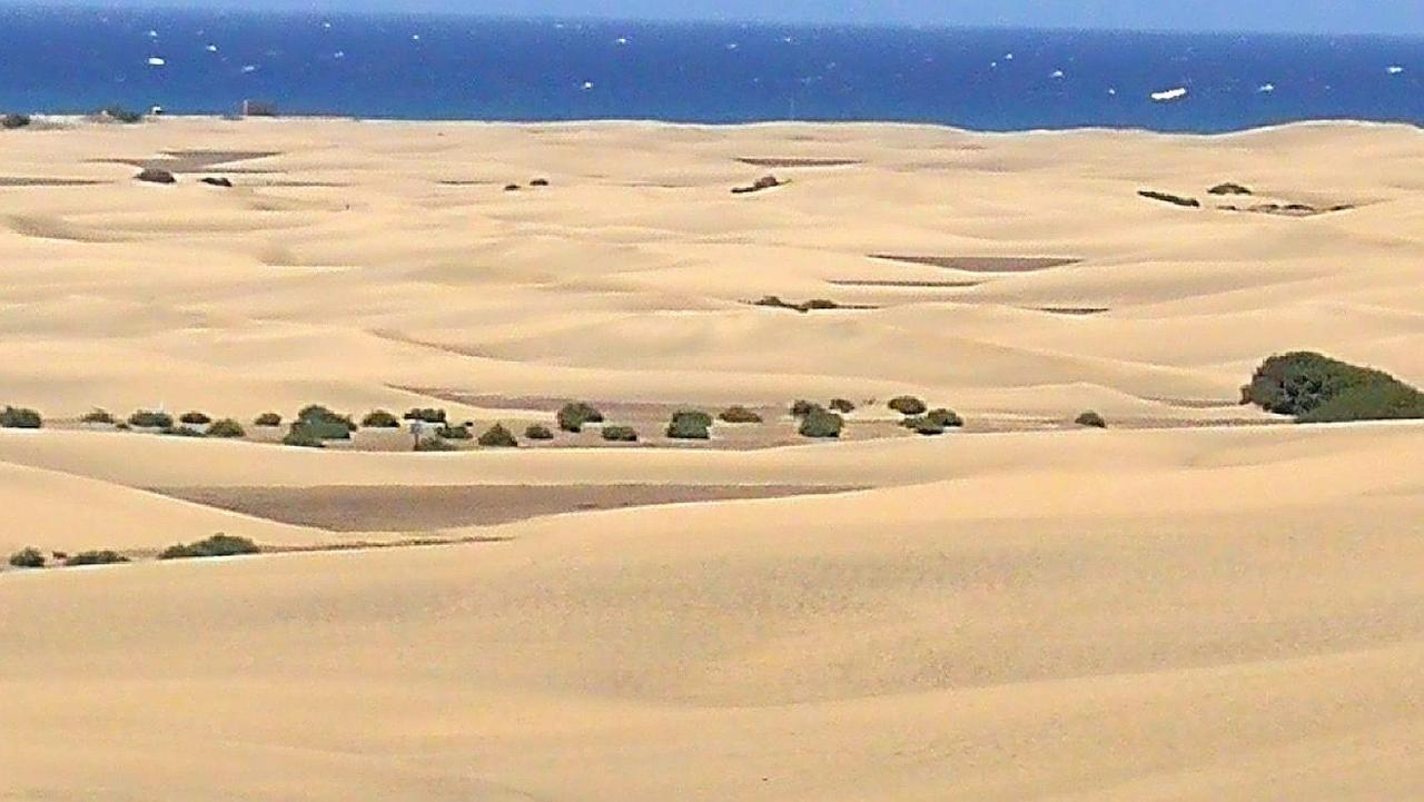 Top1 Green Sea Bungalow Jardin Lägenhet Maspalomas  Exteriör bild